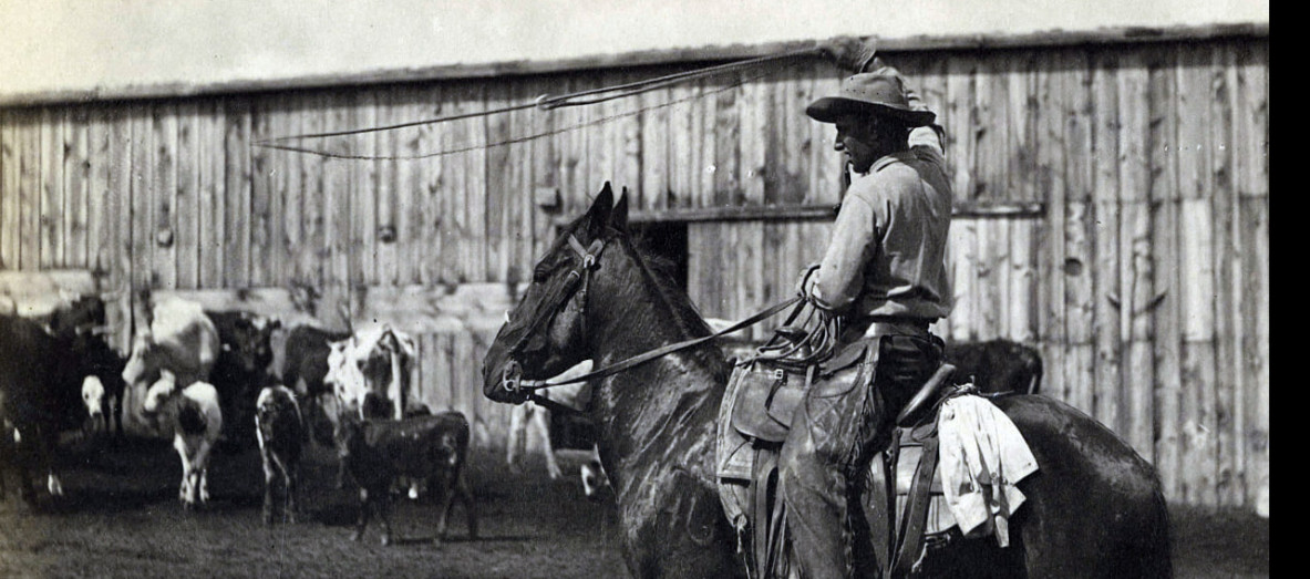 Секс және газель