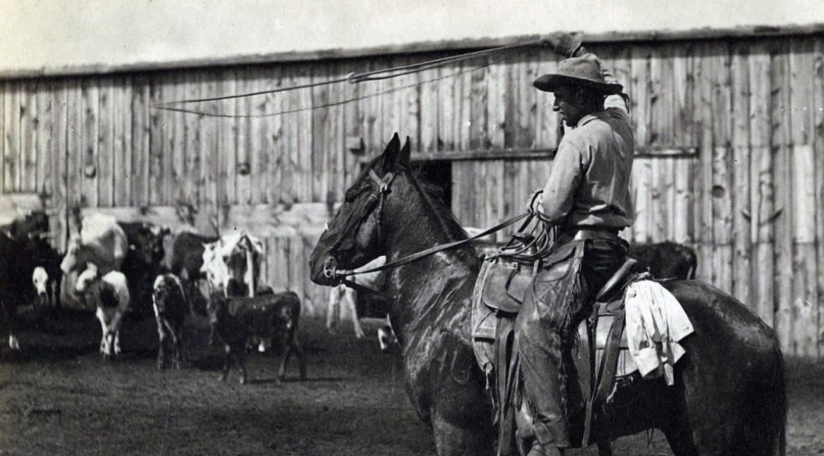 Іш киімдегі жопа фото