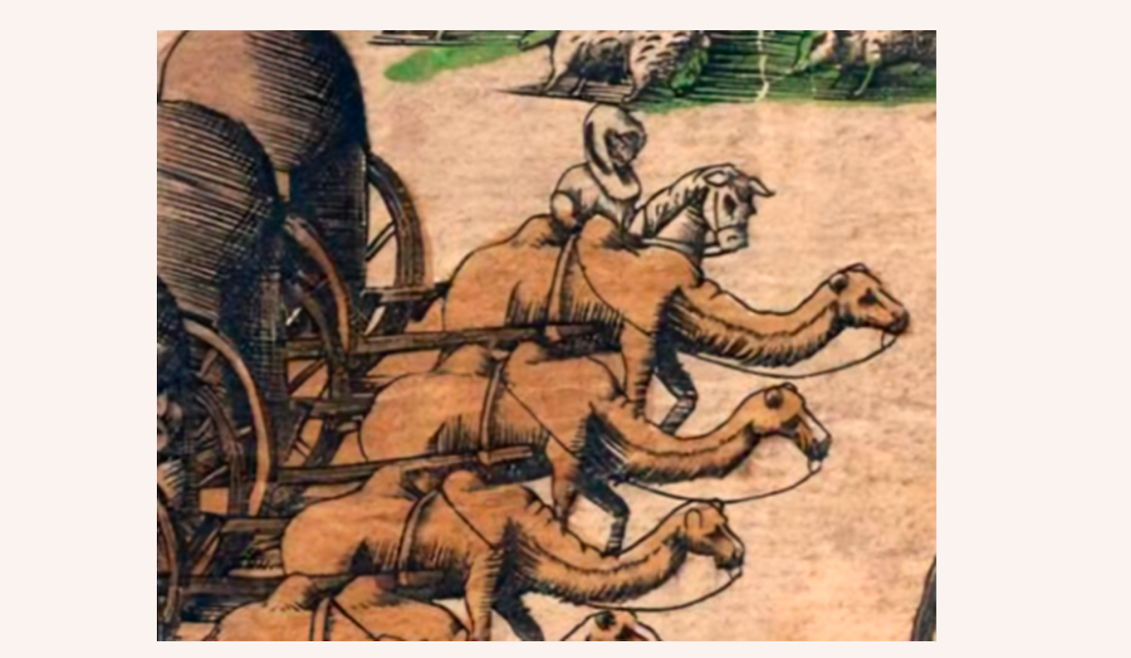 Қайын енесі күйеу баласының моншасына жасырынып кірген (видео)