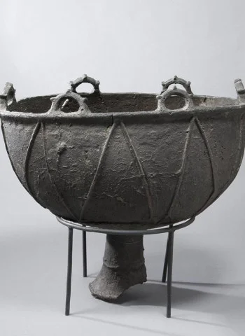 Писканың сквиртінің жақыннан түсірілген бейнесі