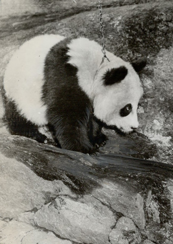 Жас шлюхалардың суреттері Жігіт кискаға қарай жұлқиды