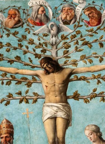 Сексвинкс мультфильмдері