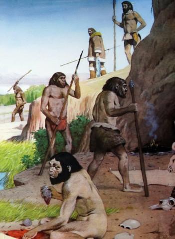 Қынаптар мен анустардың жақыннан түсірілген суреттері