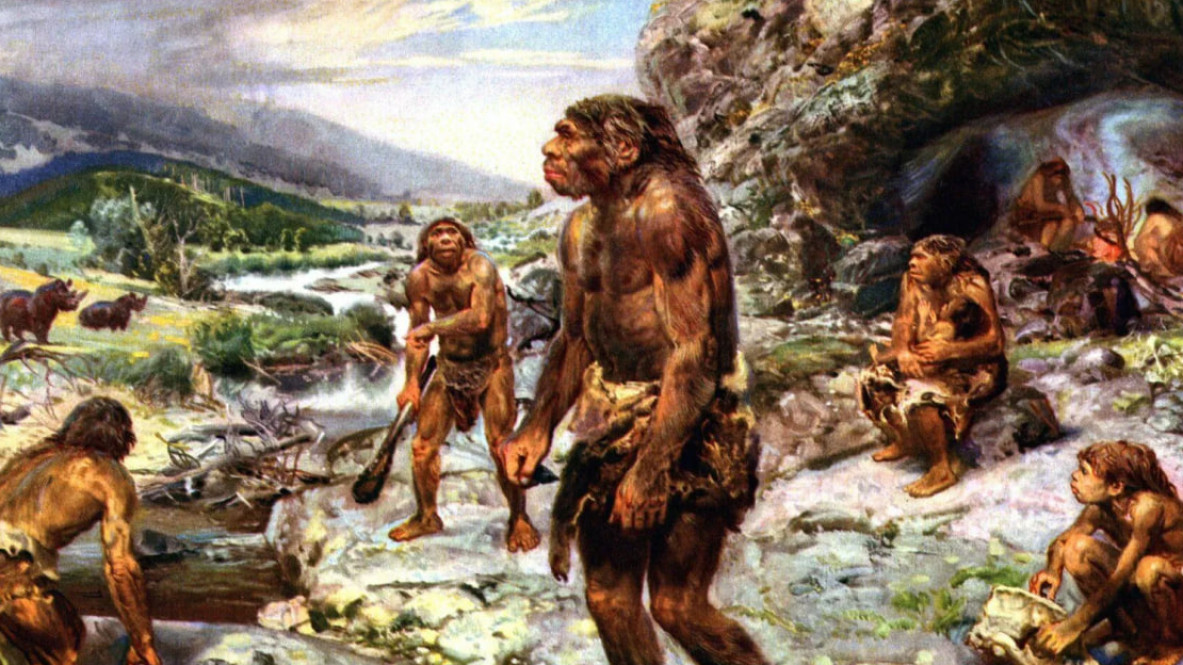 Жыныстық қатынас үшін танысу stry morshyn lion in