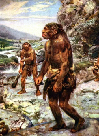 Транс порно онлайн көру