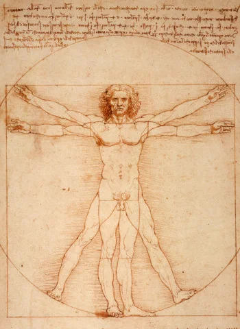 Белдік құлдың үстемдігі