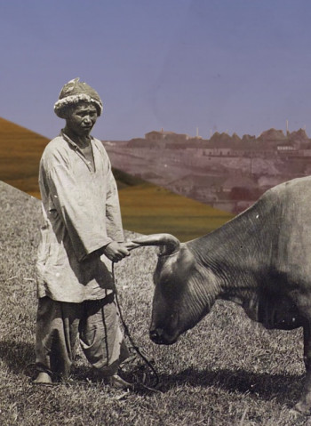 Жалаңаш ритмикалық гимнасттар