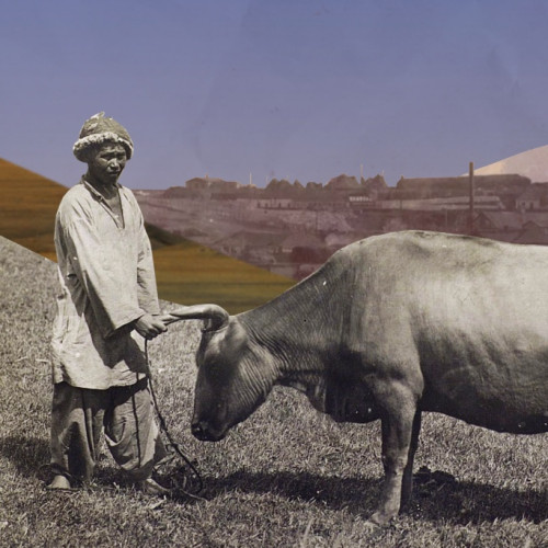 Юбка астындағы кисканың жақыннан түсірілген фотосы