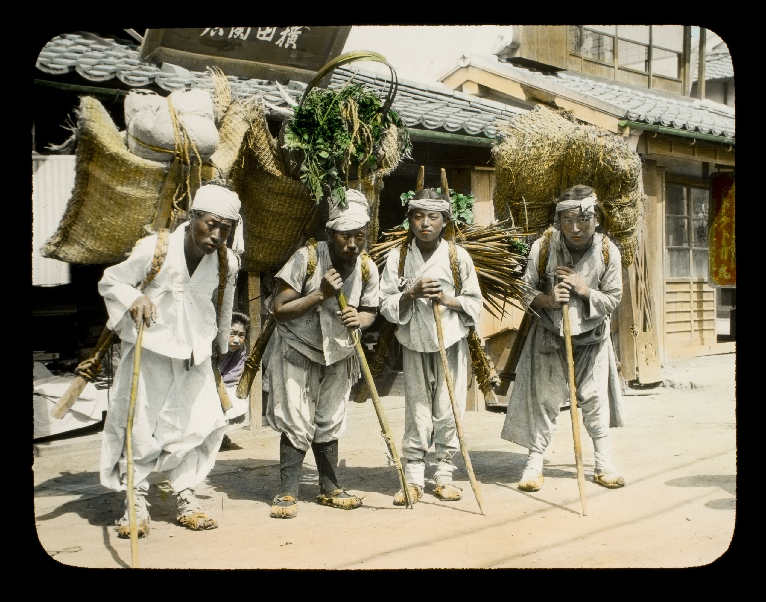 Гейлер жыныс мүшелерін көрсетеді