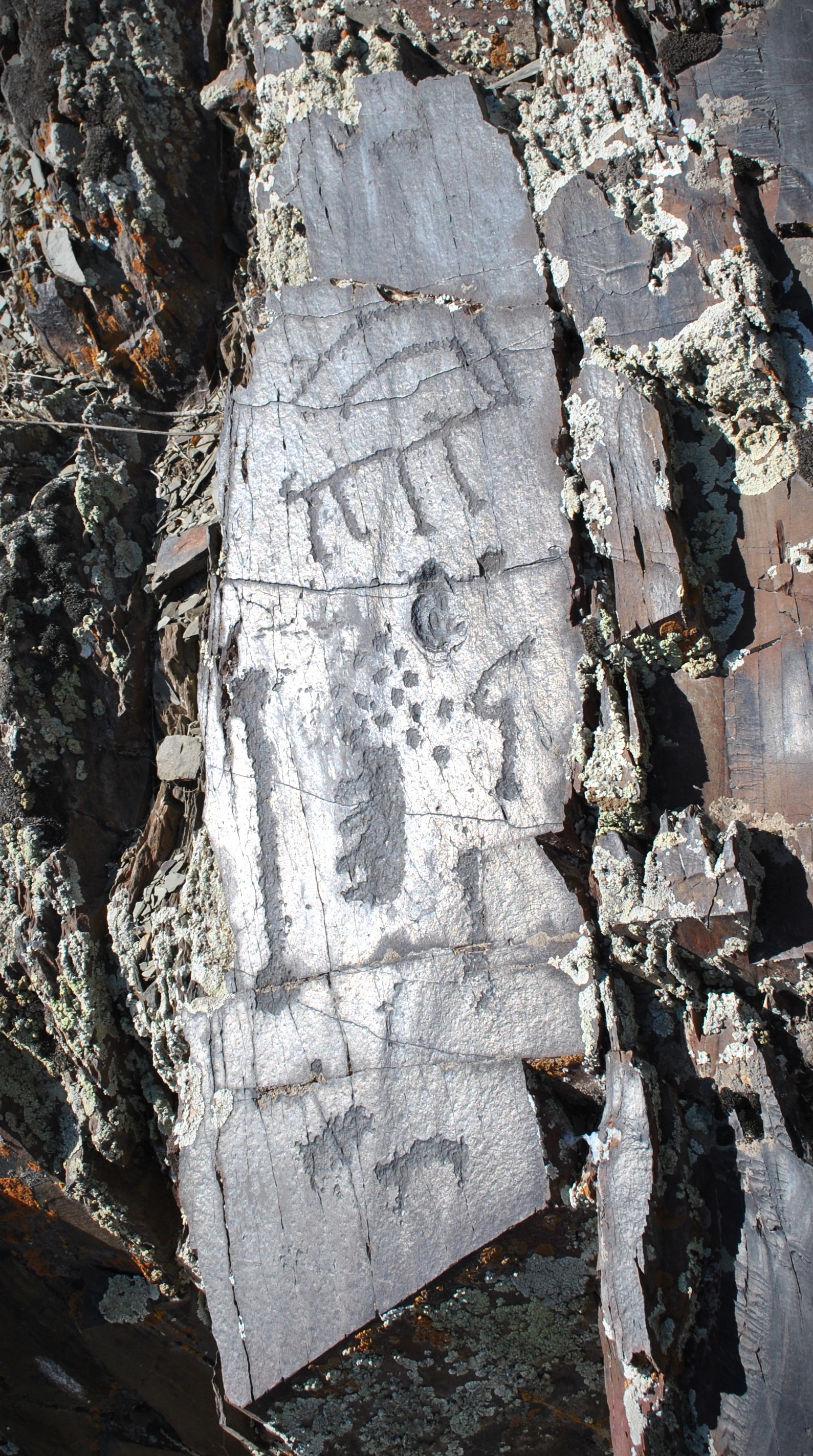 Petroglyphs of Akkaynar/Olga Gumirova