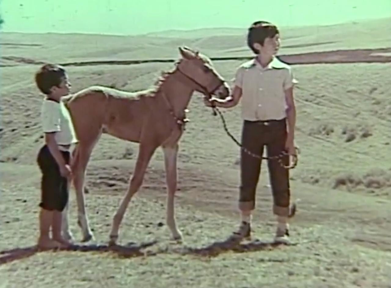 Жалаңаш кеңестік киноактерлердің бейнелері Жалаңаш кеңестік киноактерлердің бейнелері