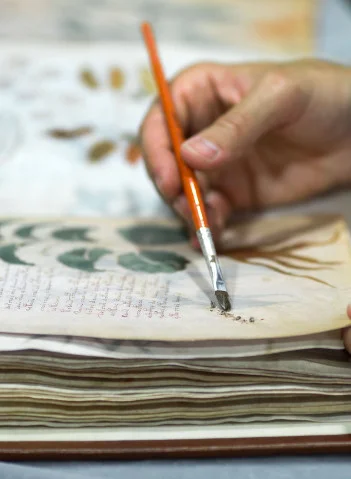 Орыс порносын қараңыз: орыс патшайымы құлдың аузына сисады