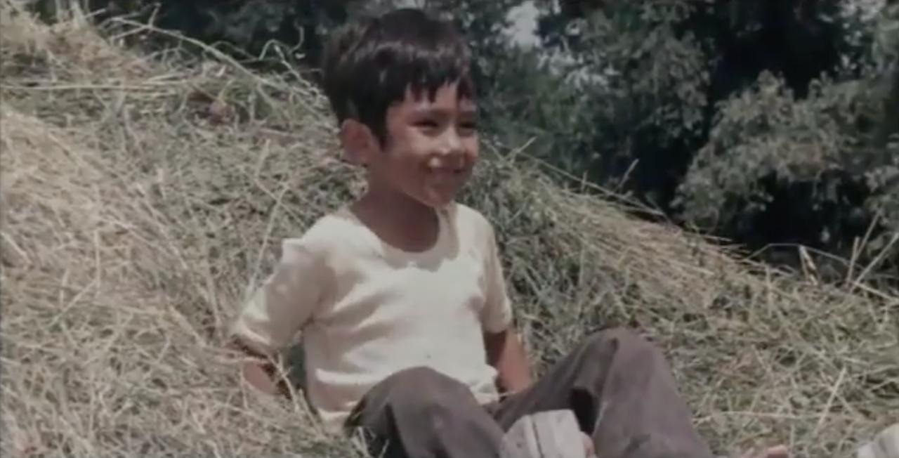 Кеңестік фильмдердегі эротикалық кадрлар, кесілген