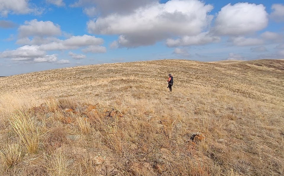 Sonic X туралы порно мультфильмдер