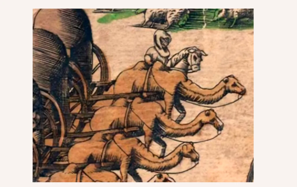 Хардкор порно группа