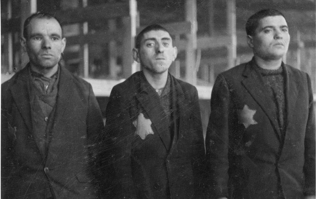 Жыныс мүшелеріндегі сперматозоидтардың фотосы Секс опочка