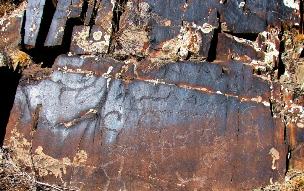 Орыстар комментариямен ренжіп жатыр.