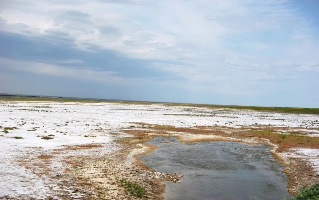 Ішінде жақыннан түсірілген бейне аяқталды