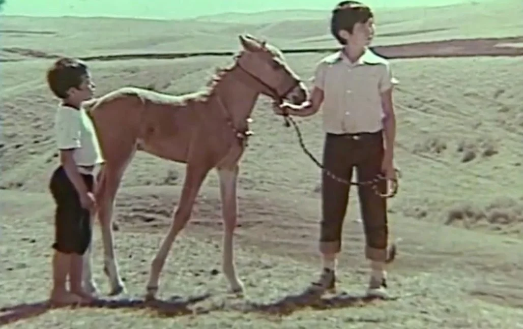 Виртуалды секс онлайн Сурет жалаңаш Ирина Муромцева