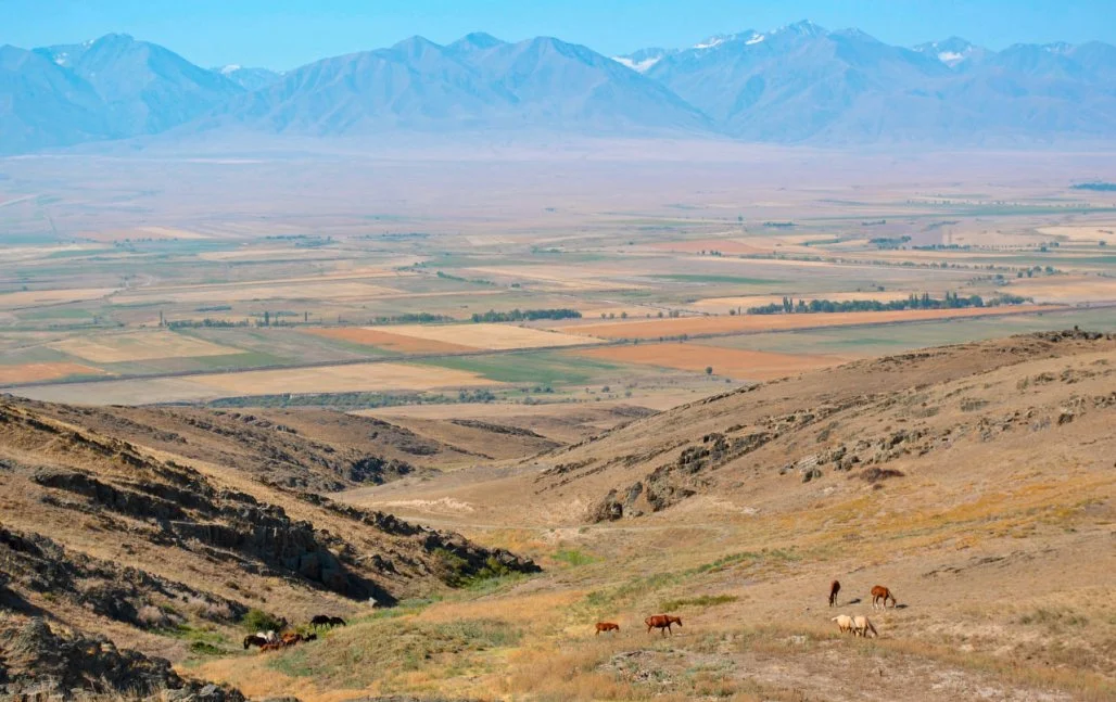 Гүл шашатын құрылғы қалай аталады? Балериналардың жыныстық қатынасы