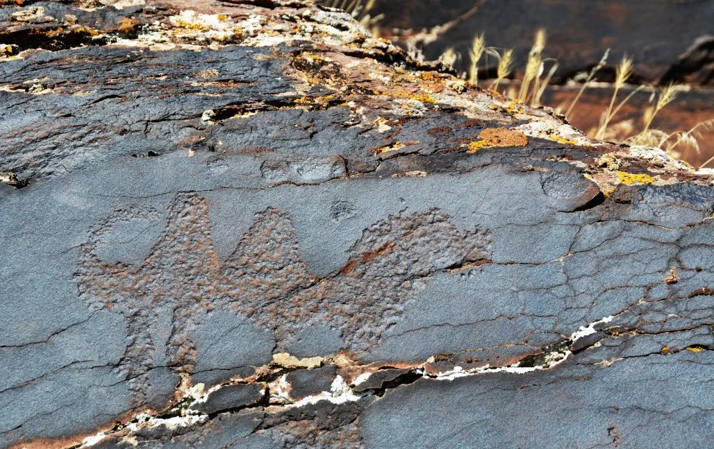 Порно Эшли Грэм