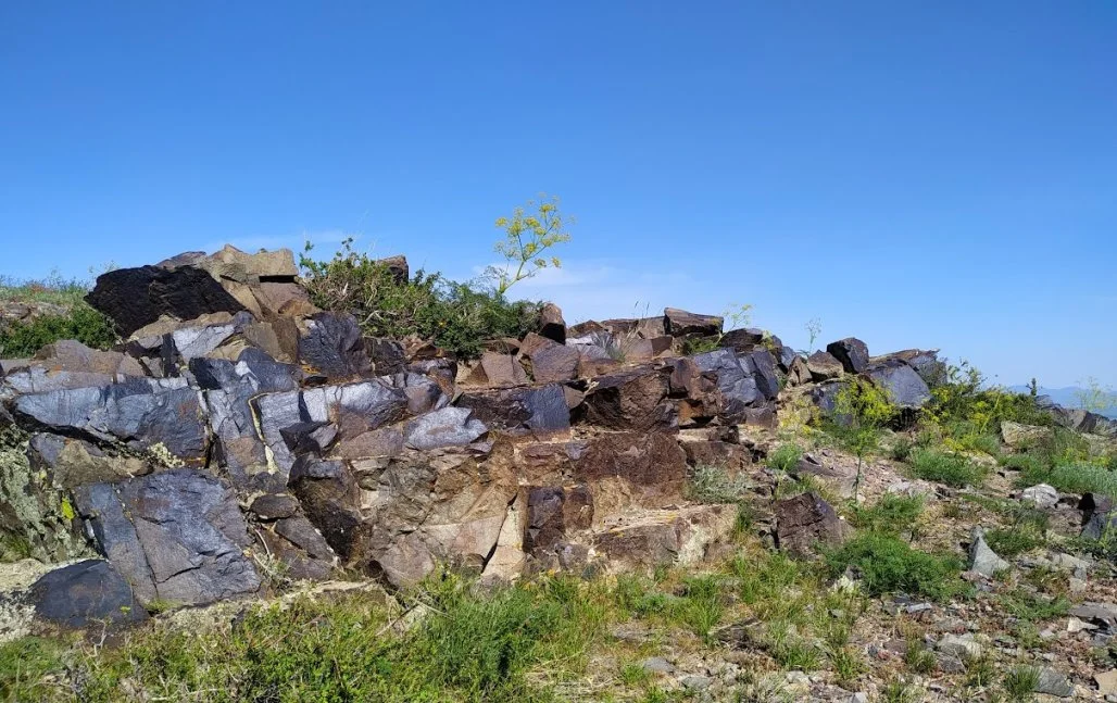 Хабаровскінің жезөкшелері Хабаровскінің жезөкшелері