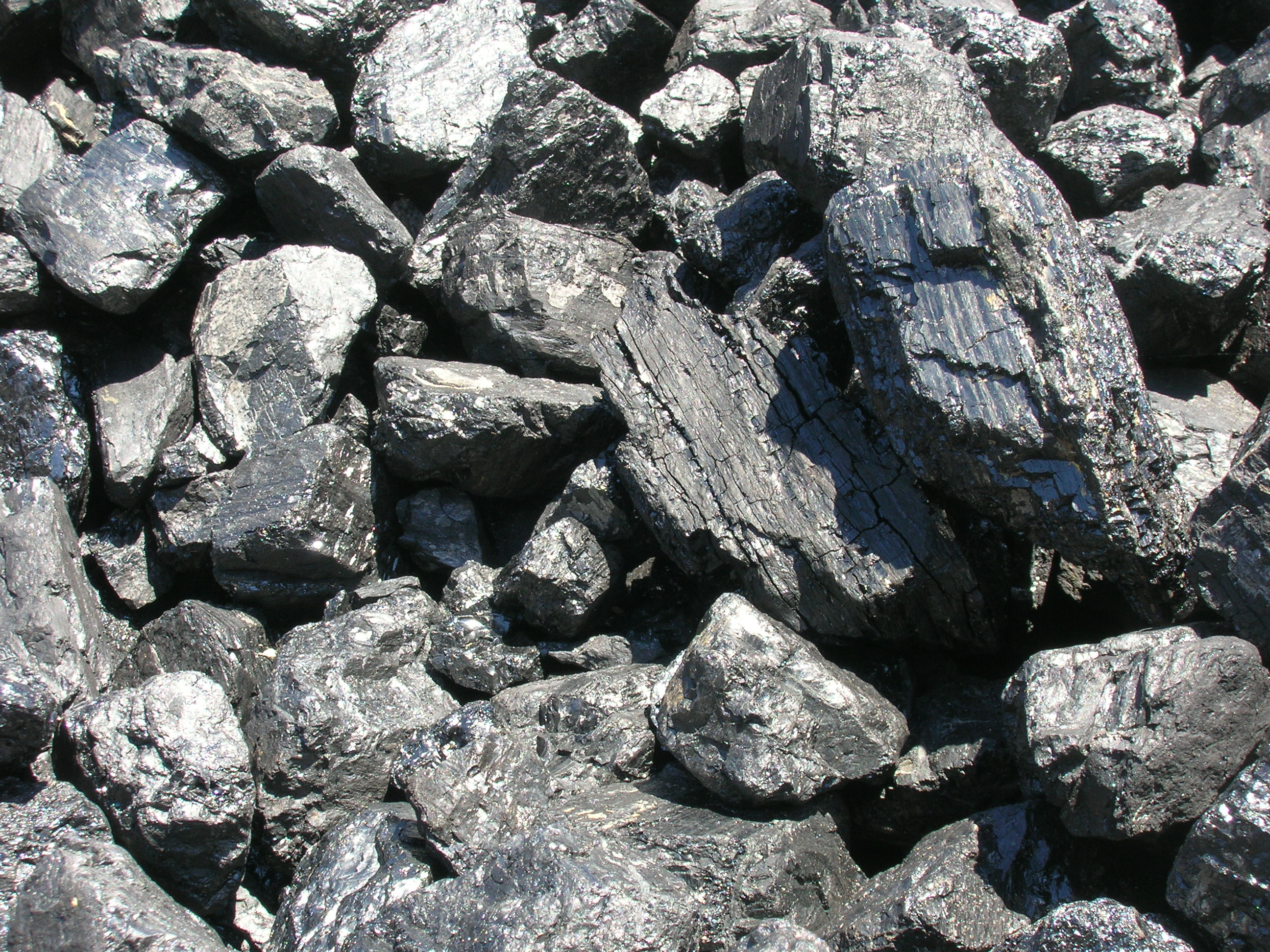 Bituminous coal/Wikimedia commons