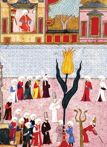 Анамның жалаңаш достары