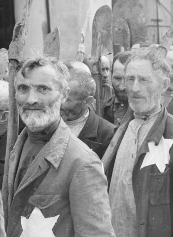 Гусар порно фильмі