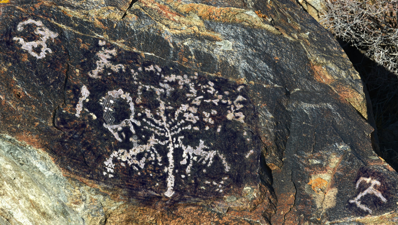 Порноға ақ шалбар киген жетілген әйел келді