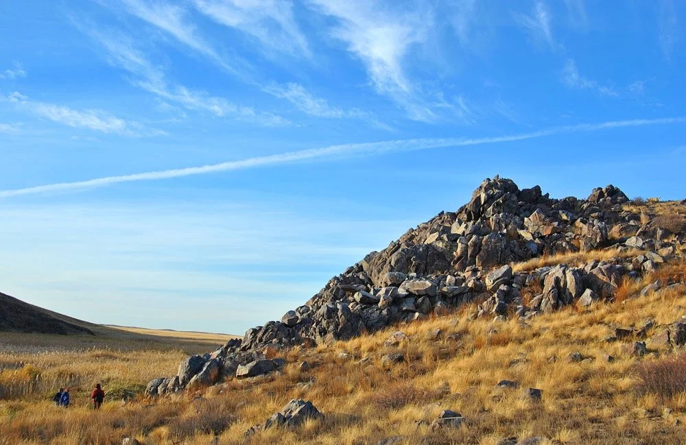 Petroglyphs are carved into the rocks on the bank of a steppe river/Olga Gumirova