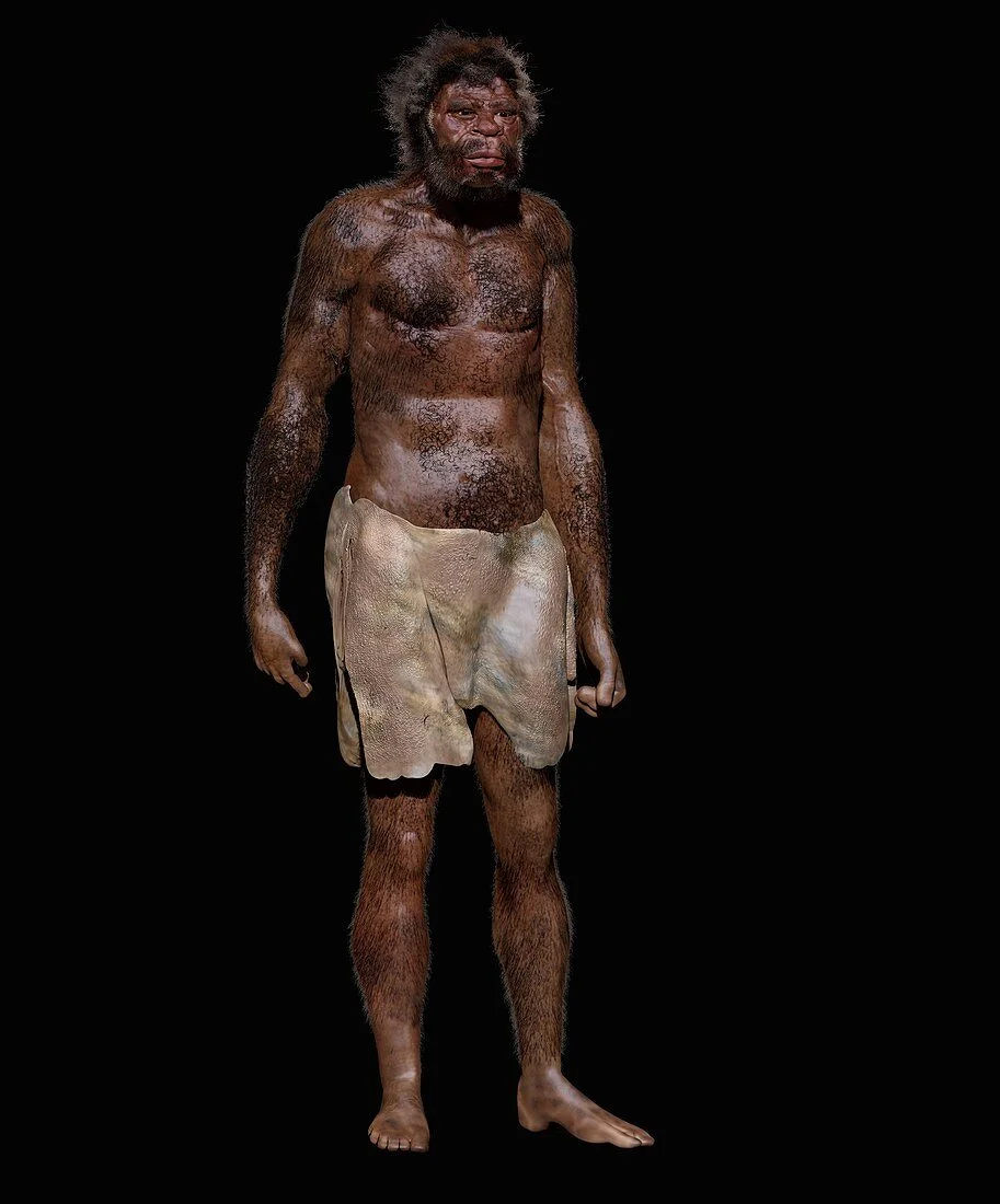 Homo sapiens из Морокко. Реконструкция по останкам возрастом в 300 тыс. лет / Science Photo Library / JOHN BAVARO FINE ART