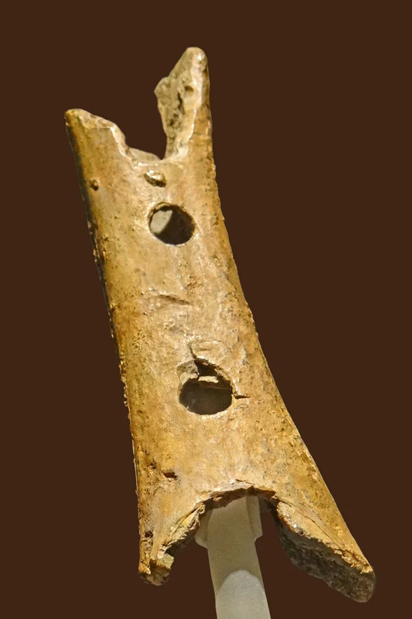 Флейта из Дивье Бабе/Wikimedia commons