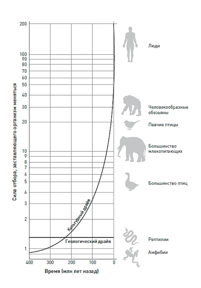 Влияние культурного драйва на эволюцию/Александр Марков 