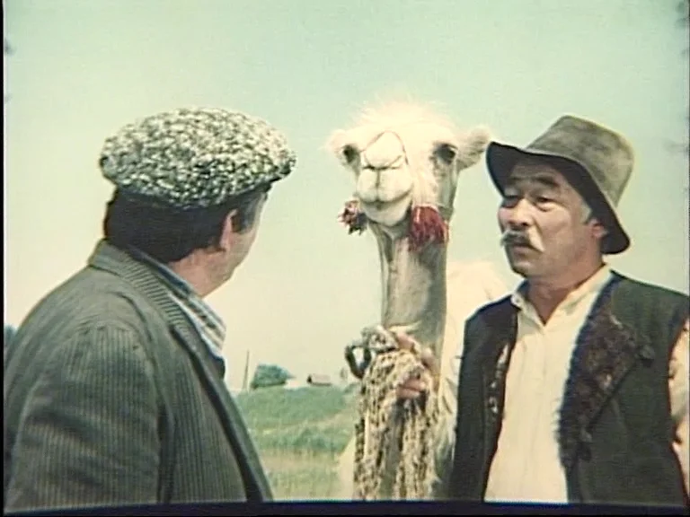 "Where the mountains are white" (1973) Directed by Viktor Pusurmanov, Askhat Ashrapov