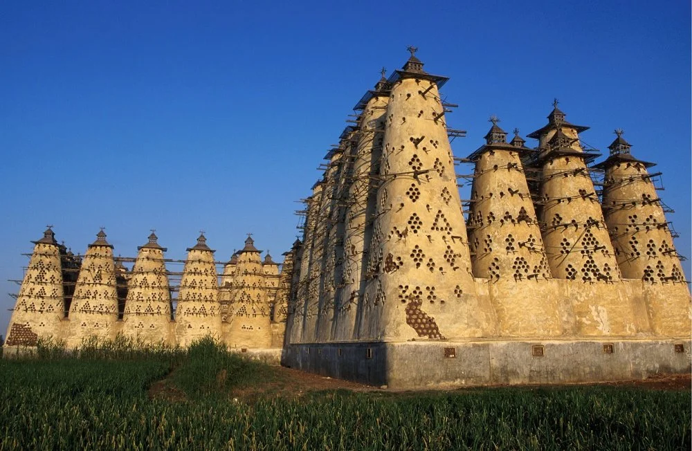 Typical pigeon houses, pigeon lofts in towering structures, location unspecified, Egypt, circa 1962/Gunter Reitz/Getty Images