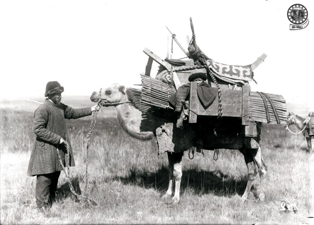 Киіз үй жабдықтары артылған түйе. Самуил Дудиннің фотосуреті. Семей, 1899 жыл / Гамбург этнографиялық музейінің қоры / ҚРОМКФДЖА