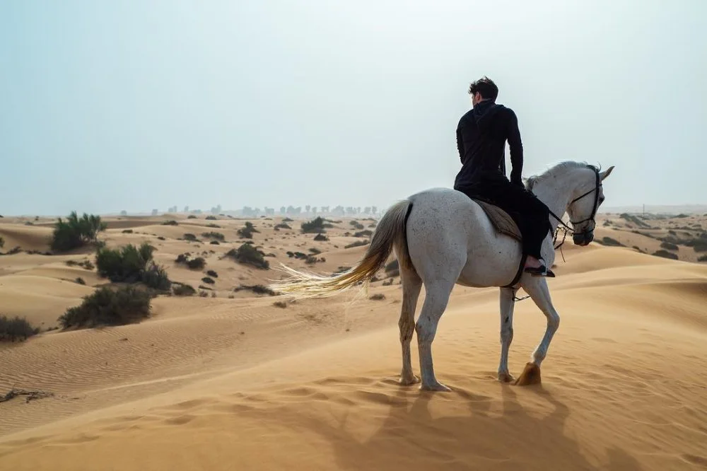 Pavel Durov on horseback, the photo was posted on his Instagram immediately after news about the blocking of Telegram in Russia in 2018. The caption reads: "To be truly free, one must be prepared to risk everything for liberty/ Photo: Pavel Durov's Instagram.