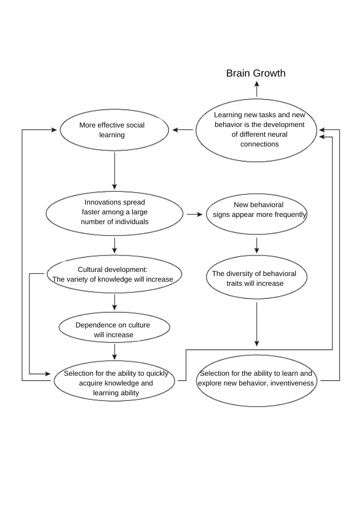 The influence of cultural drive on evolution/Alexander Markov