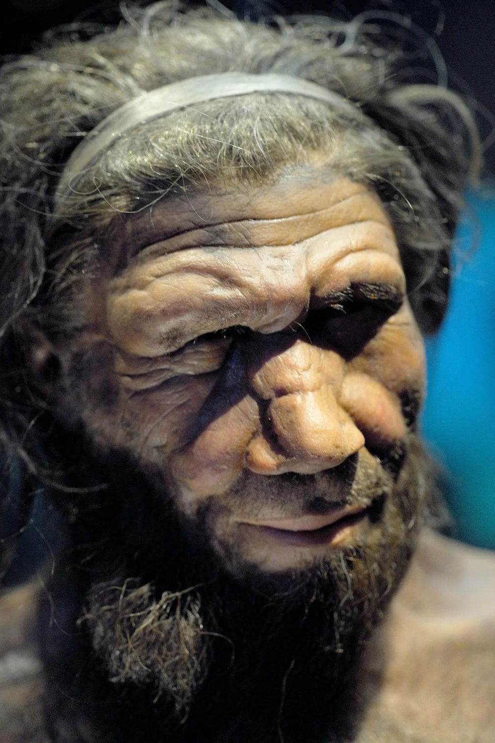 Неандерталец из Музея естественной истории в Лондоне/Wikimedia commons