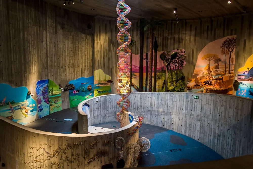 Скульптура ДНК в Музее Неандертальцев. Крапина, Хорватия/Alamy