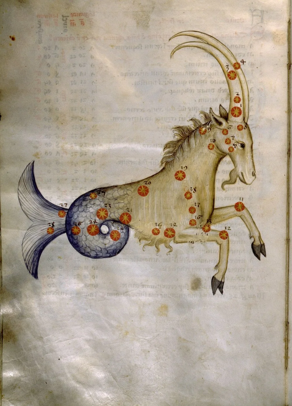 Illustration from a copy of Al Sufis The Book of Fixed Stars, This copy was made in Prague in the 15th century, and is known as Catalogus Stellarum Fixarum, Codex DA 11.13. Detail of Capricorn. Persia, Islamic. 15th century, AD/Photo by Werner Forman/Universal Images Group/Getty Images