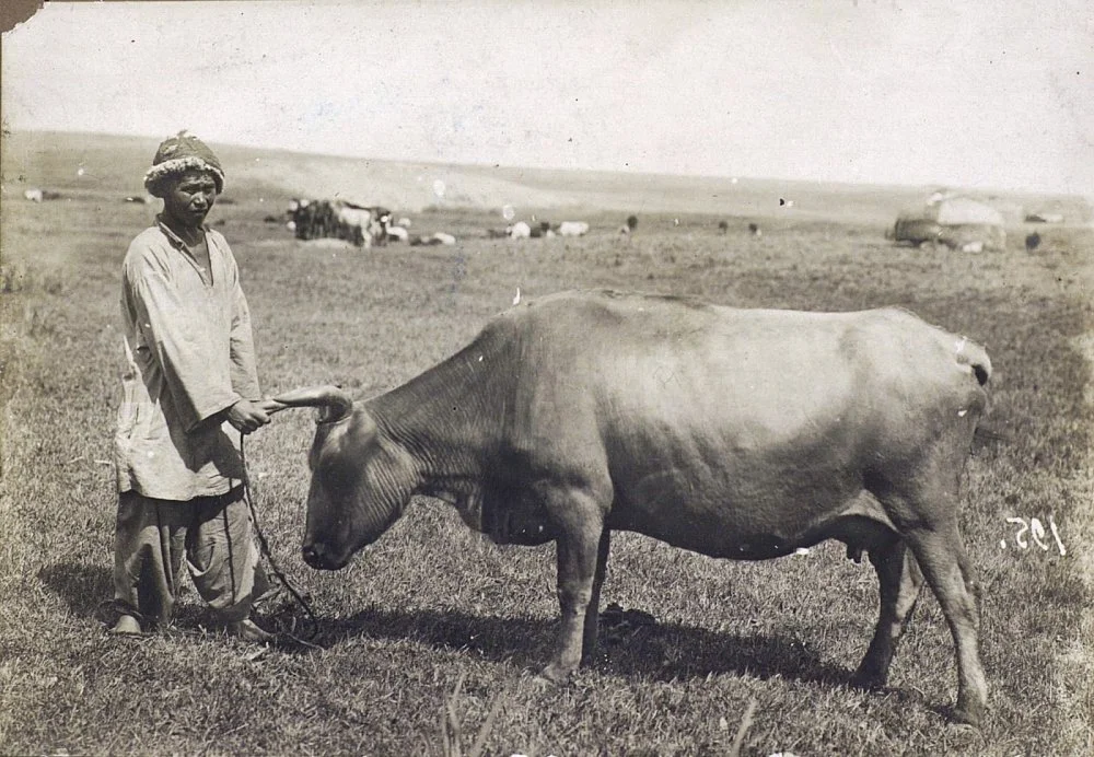  С.Дудин. Қойшы. 1899 жыл/Wikimedia Commons