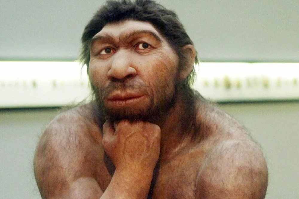 Неандерталдық өмір туралы ойланып отыр/Wikimedia Commons