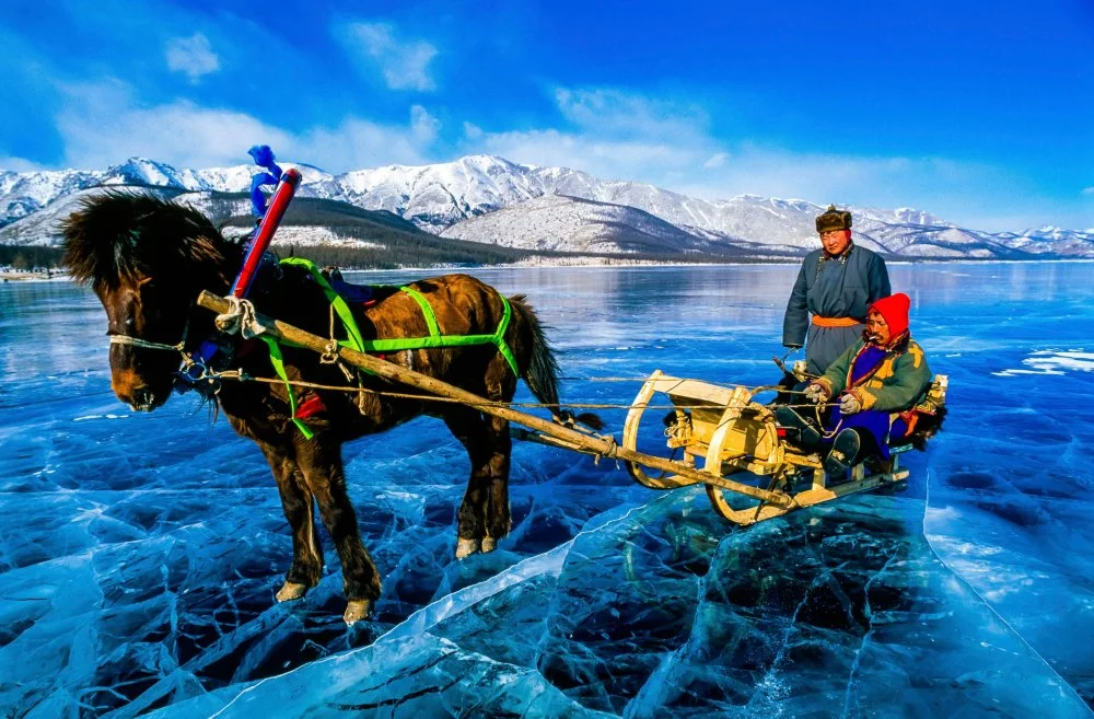 Mongolia, Khövsgöl Province, Mörön, Khatgal Darhat Herders Community, Ice Festival On The Frozen Lake Khövsgöl At The Full Moon Of February, During Tsagaan Sar, Or White Moon, The Mongolian New Year, Harnessed Sledge Horse With Crampons/Alamy