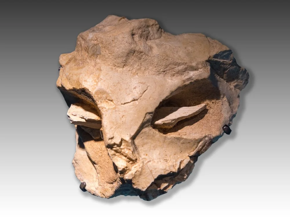 «Маска» из пещеры Ла Рош-Котар. Средний палеолит. Мустьерская культура/Wikimedia commons