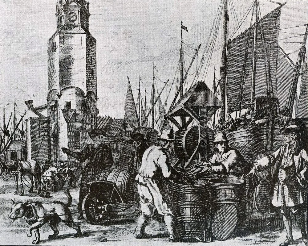 The herring fishery in Holland. The 17th century engraving/Alamy 