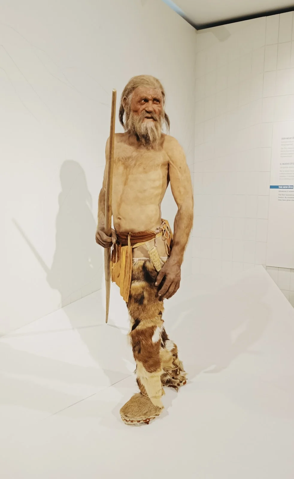 Otzi/Wikimedia Commons 