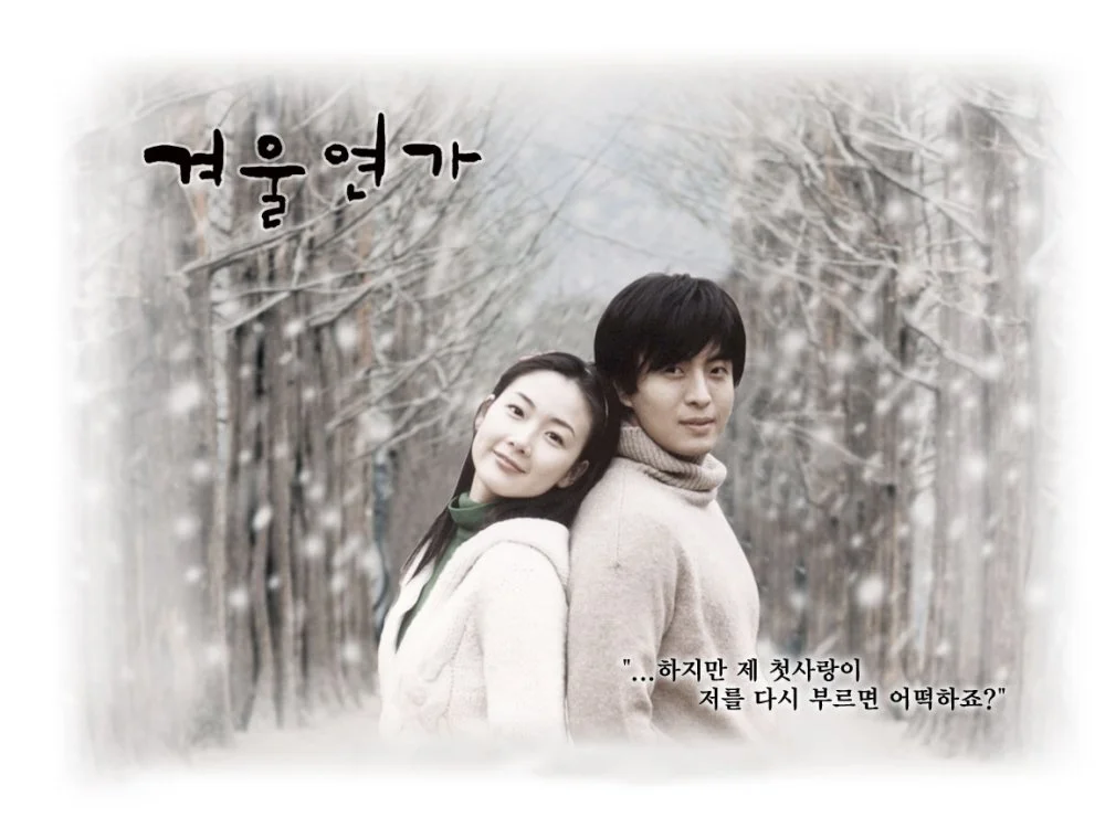 Winter sonata TV series poster/from open acces