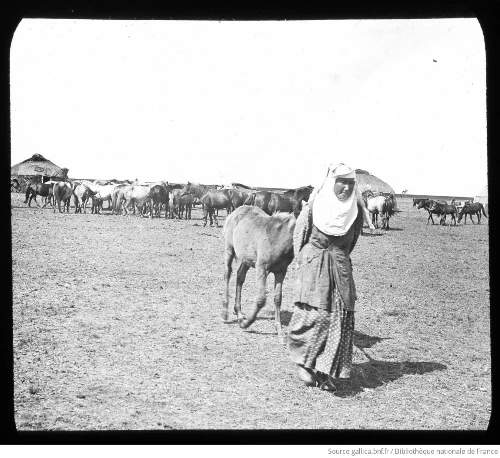 Жюль Мари Кавелье де Кювервилль. Казахская девушка ведет за собой табун лошадей. Конец 19 века / Bibliothèque nationale de France / Gallica